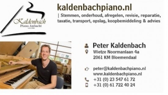 Vakkundig Pianostemmer - Pianotechnicus - Revisie - Intoneren - Taxatie — foto 2