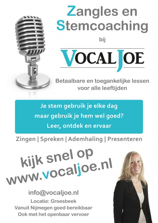 Zanglessen/stemcoaching bij VocalJoe — foto 2