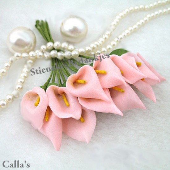 120 BIT13 Calla`s of Aronskelk bloemetjes — foto 2