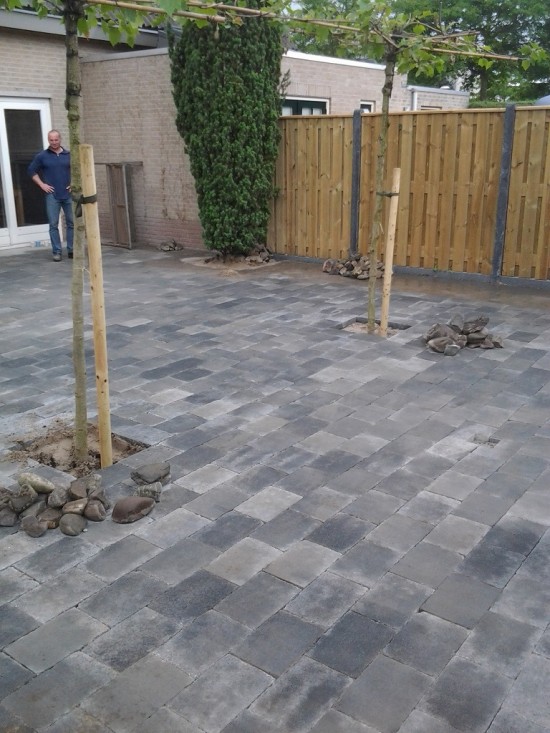 Bosman Project/Sierbestrating & Tuinaanleg — foto 2