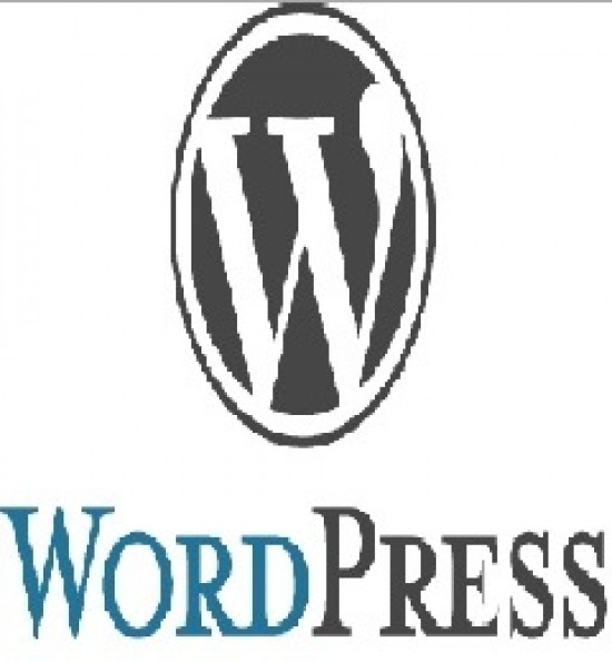Webdesign student mooie wordpress website laten maken — foto 2