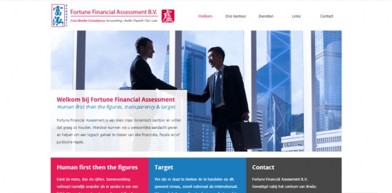 Een website laten bouwen voor een betaalbare prijs! — foto 2