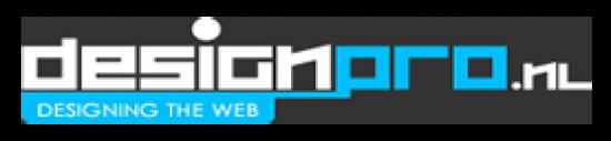 Designpro Designing The Web — foto 2