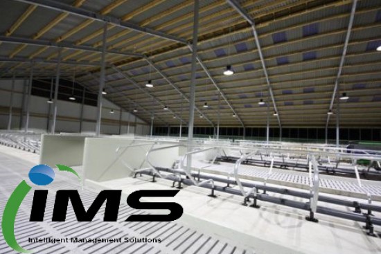 Meer Led Licht = Meer verdienen = Minder kosten = Meer winst — foto 2