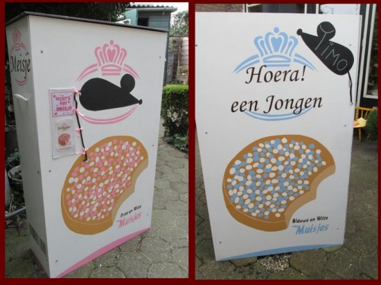 Verhuur van geboorteborden, ooievaar op nest, Megapak Beschuit met muisjes, geboortekrans/vlaggen — foto 2