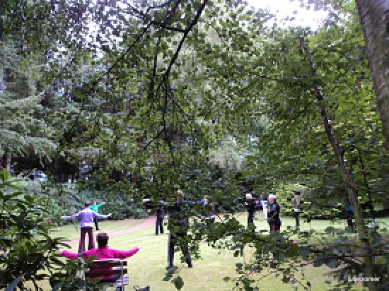 QiGong meerdaagse in Limburg € 250.- — foto 2