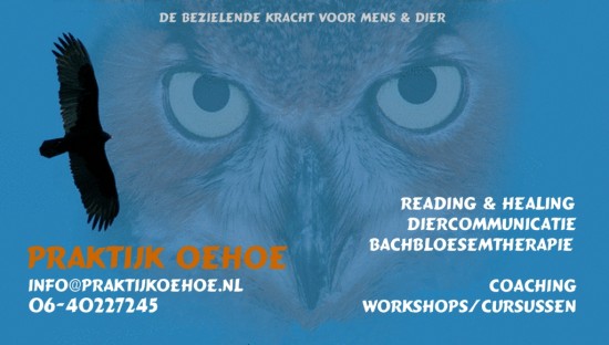 2 daagse Workshop Intuitief Communiceren met Dieren — foto 2