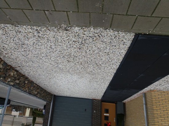 Tuinaanleg sierbestrating — foto 2