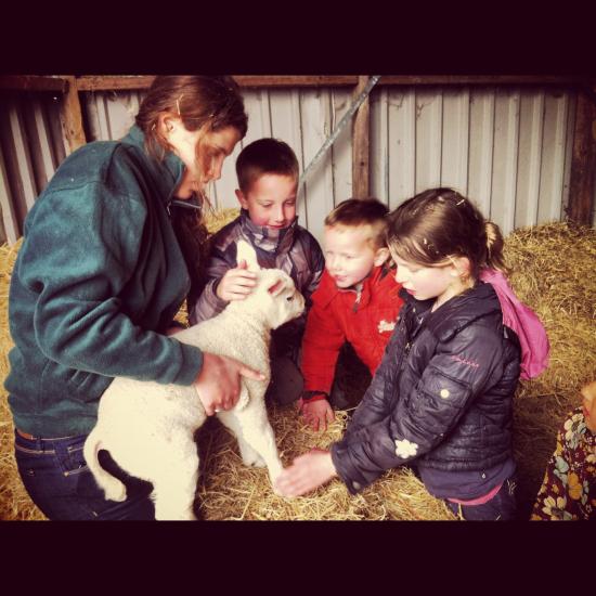 Paasuitje tweede paasdag: Lammetjesdag op de boerderij. — foto 2