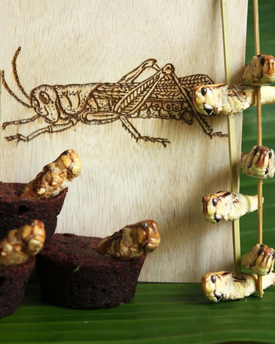 Hapjes met eetbare insecten — foto 2