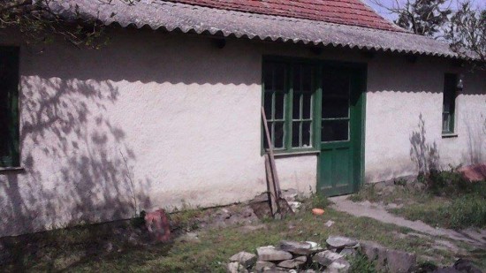 Boerderij te koop Palmonostor — foto 2