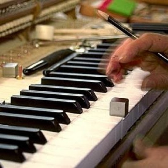 Pianostemmer & Technicus — foto 2