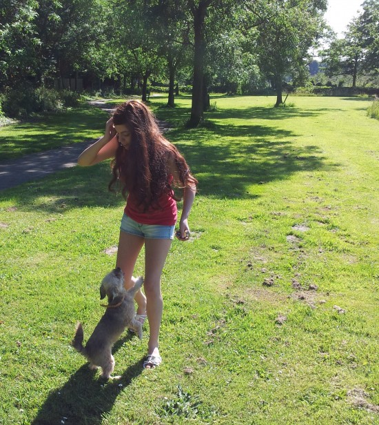 Uw hond zal zijn als thuis - 15 euros day — foto 2