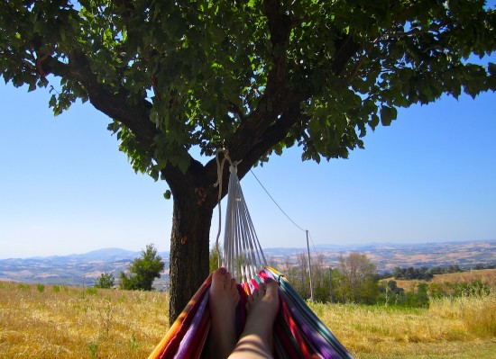 Le Marche - B&B Terra Mossa — foto 3