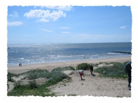 Vakantie in Zeeland? Th. chalets en kampeerplaatsen op camping-vakantiepark Stelleplas — foto 3