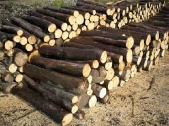 Brennholz Qualität zum Verkauf — foto 3