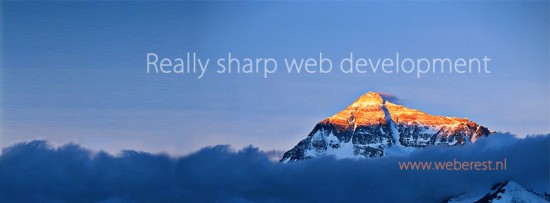 Professional Web Design and Online stores by Weberest — foto 3