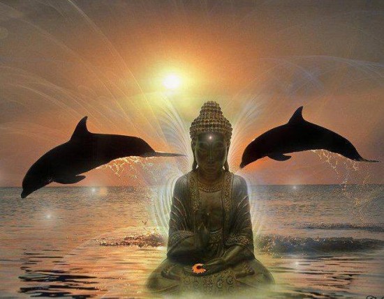 Reiki en Meditatie, te Oosterhout NB. — foto 3
