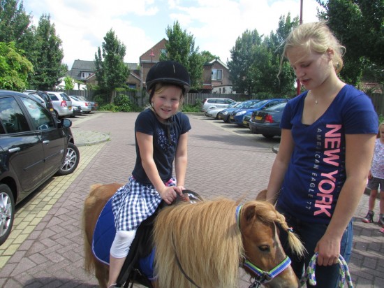 Ponyfeestjes partijtjes voor een leuke prijs!! — foto 3