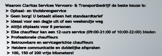 9-personenbus te huur met chauffeur | Car rental with driver — foto 3