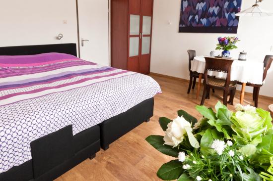Callantsoog vakantiehuis voor 2-8 personen te huur — foto 3