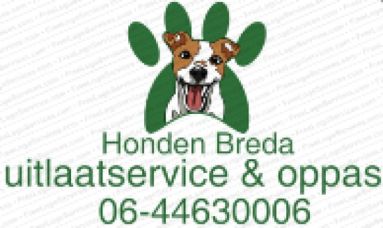 Honden Breda uitlaatservice & oppas — foto 3