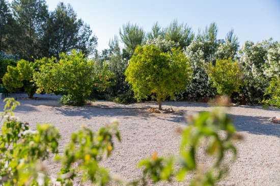 Natuur resort Costa Blanca — foto 3