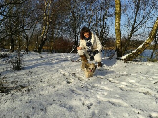 Scriptiebegeleiding HBO of universitair — foto 3