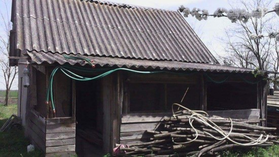 Boerderij te koop Palmonostor — foto 3