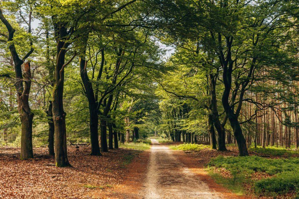 Gratis wandelgesprek in Schagen — foto 2