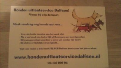 Honden uitlaat service Dalfsen!