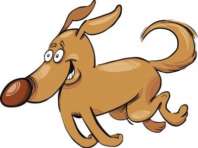 Prive wandeling of uitlaten van uw hond