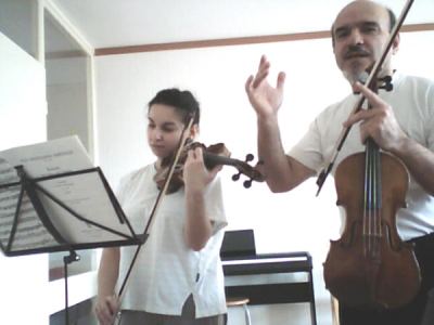 Vioolles