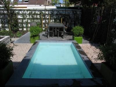 Tuinontwerp,beplantingsplan en advies