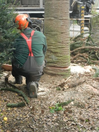 Alround hoveniers bedrijf voor alle voortkomende werkzaamheden in de tuin