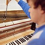 Pianostemmer regio Alkmaar, Den Helder, Haarlem, Hoorn, Amsterdam