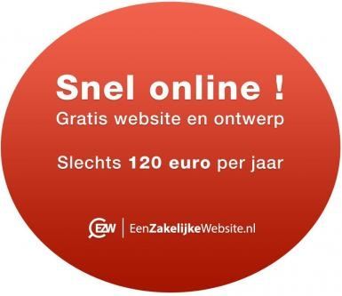 Website nodig? Zet uw bedrijf online
