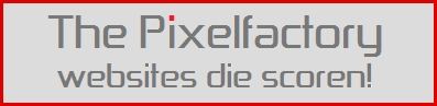 Wij ontwikkelen websites die scoren!