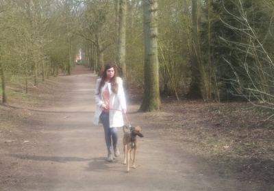 Uw hond zal zijn als thuis - 15 euros day