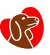 doggycare - hondenuitlaatservice - apeldoorn